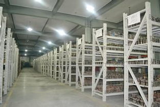 靈活倉儲新選擇 上海小倉庫30平起租，短租臨時倉儲服務全解析