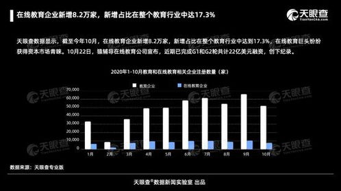 在線教育行業(yè)迅猛擴張 截至十月新增8.2萬家企業(yè)，占比達行業(yè)17%